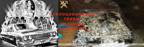 прущие крисы Навашино