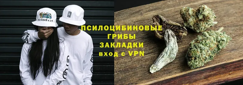 blacksprut как зайти  Заволжск  Галлюциногенные грибы Magic Shrooms 