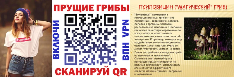 Галлюциногенные грибы прущие грибы  Заволжск 